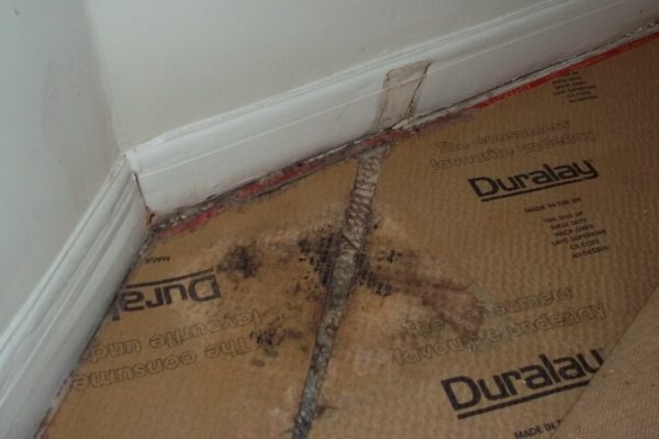 dh-propertytreatments-new.seesite.biz_--_165830519