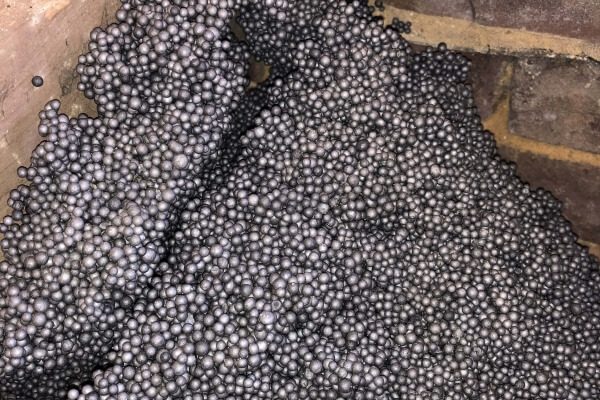 dh-propertytreatments-new.seesite.biz_--_242559541