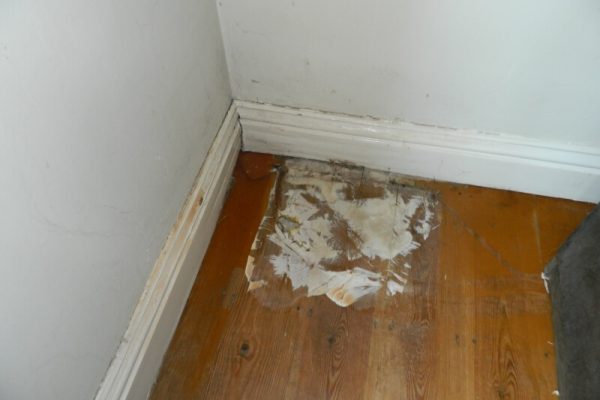 dh-propertytreatments-new.seesite.biz_--_361642062