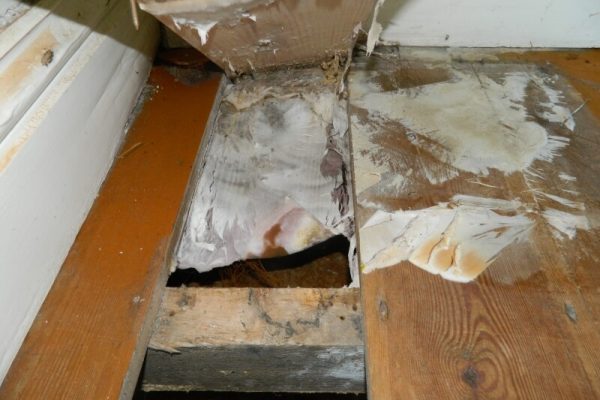 dh-propertytreatments-new.seesite.biz_--_559272320