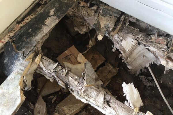 dh-propertytreatments-new.seesite.biz_--_626832065