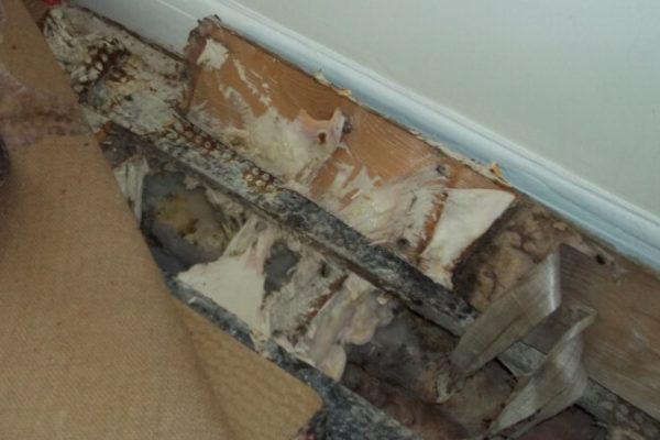 dh-propertytreatments-new.seesite.biz_--_952132173